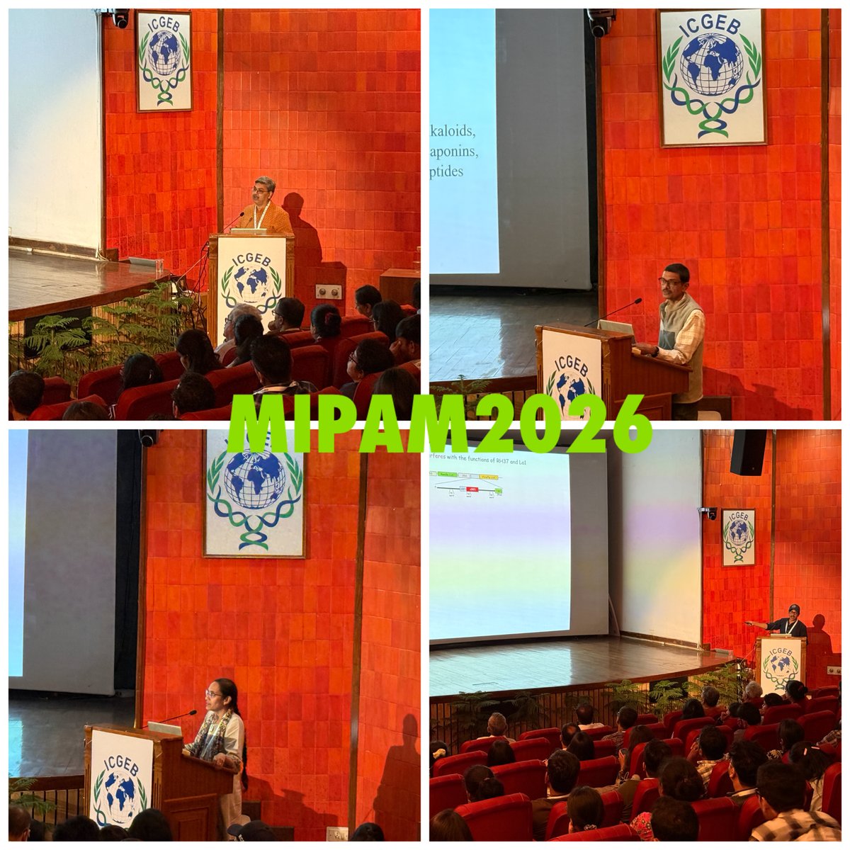 ICGEB, New Delhi tweet media