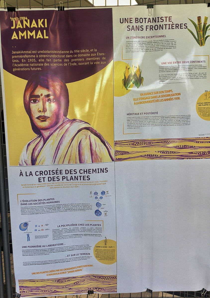 Neel Kolhe tweet media