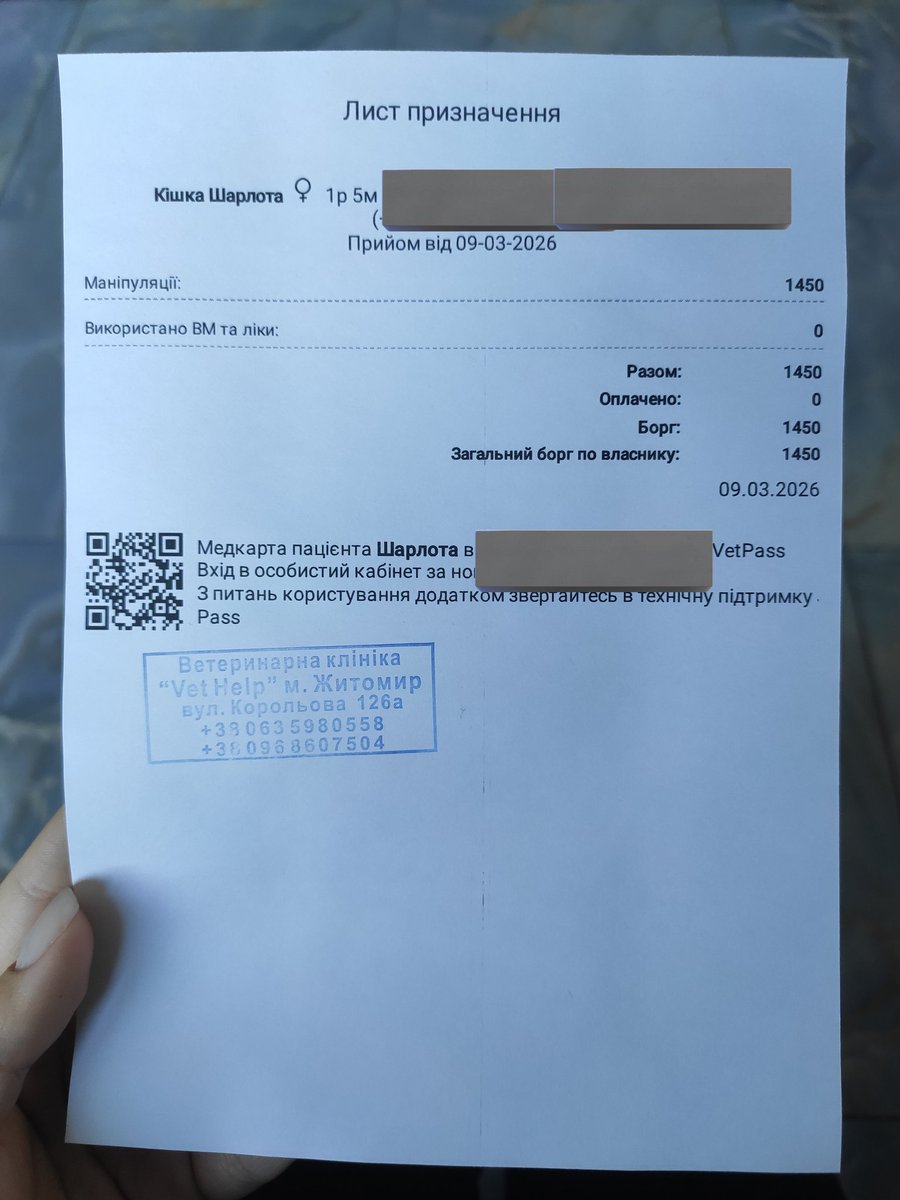 🫟пані киця gone tired🫟 tweet media