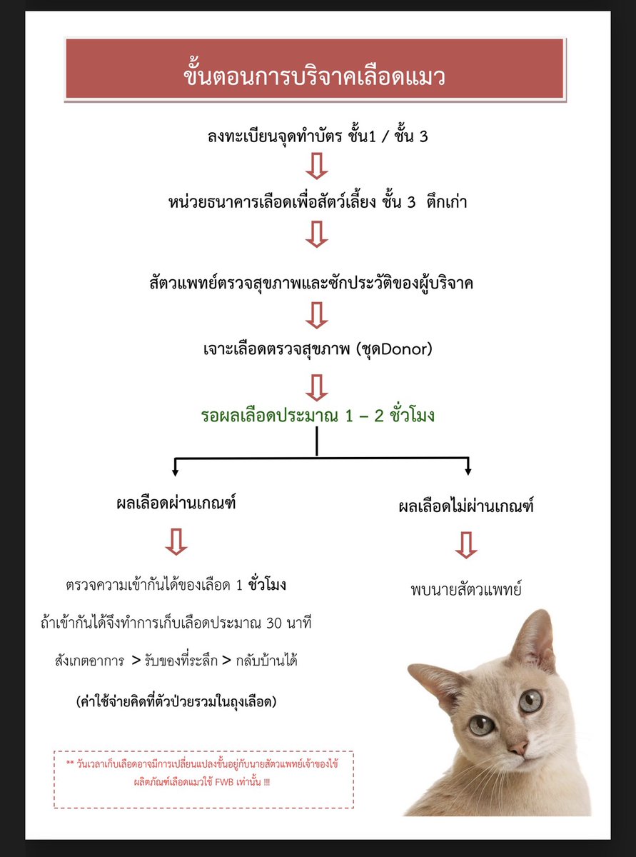 CatsterClub's tweet photo. 🩸ขอรับบริจาคเลือดน้องแมวด่วนค่ะ🩸(ฝากประกาศ)
น้องแมวของเรา ชื่อ “แพนด้า” ตอนนี้กำลังรักษาตัวอยู่ที่ ICU ค่าไตสูงและมีอาการตับอ่อนอักเสบร่วมด้วย เกร็ดเลือดต่ำ จึงจำเป็นต้องใช้เลือดอย่างเร่งด่วน
หากบ้านไหนมีน้องแมวที่สุขภาพแข็งแรง และสะดวกช่วยบริจาคเลือด รบกวนติดต่อมาได้เลยนะคะ

คุณสมบัติน้องแมวผู้บริจาคโดยประมาณ
• น้ำหนัก 4 กก.ขึ้นไป
• อายุ 1–7 ปี
• สุขภาพแข็งแรง รับวัคซีนประจำปี
• ไม่เคยได้รับเลือดมาก่อน
• งดอาหารและน้ำ 8-12 ชั่วโมง
สถานที่: โรงพยาบาลสัตว์เกษตร บางเขน
 ติดต่อ: 084-3304546 นฤมล เจ้าของน้องแพนด้า line ID : film36exp
หรือ 02-7971900 ต่อ 2329 รพ.สัตว์เกษตร

หนึ่งชีวิตเล็กๆกำลังรอความช่วยเหลืออยู่ค่ะ ช่วยกันรีกระจายข่าวได้นะคะ