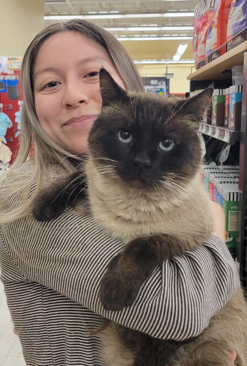 Cat Matchers tweet media