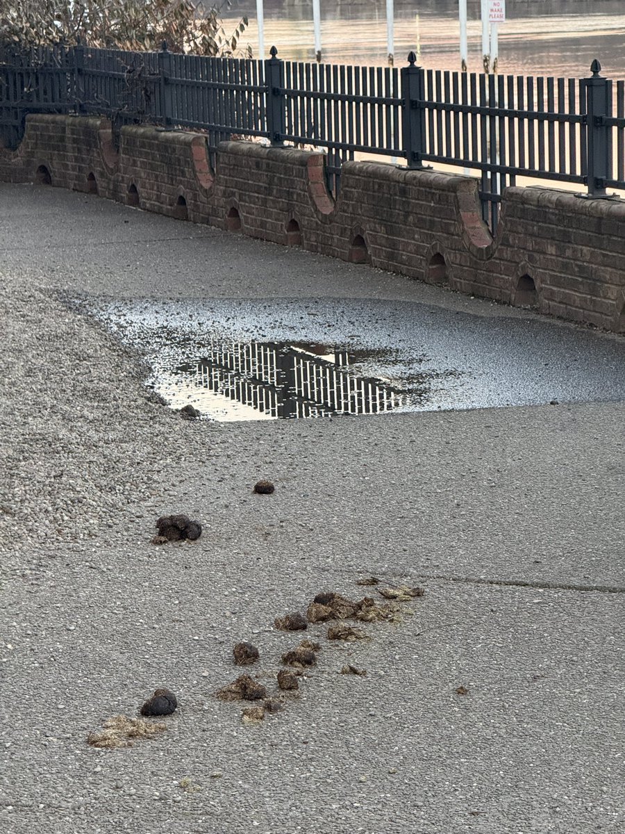 harshcardigan's tweet photo. @PghPolice Thanks for cleaning up after yourselves https://t.co/xLL9IU7MBQ