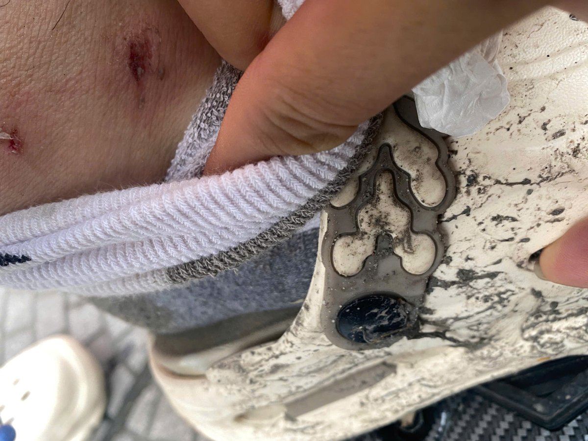 Nitdragon tweet media