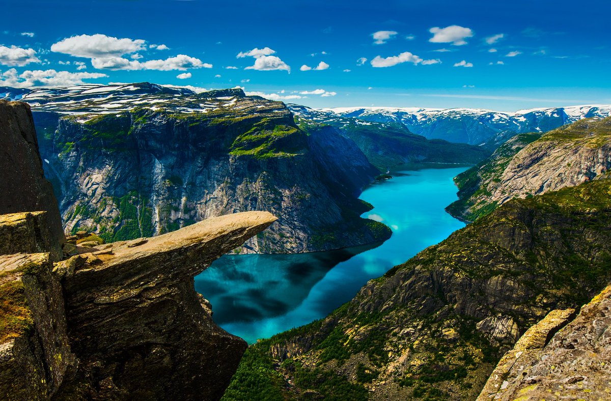 #NAFOViking tweet media