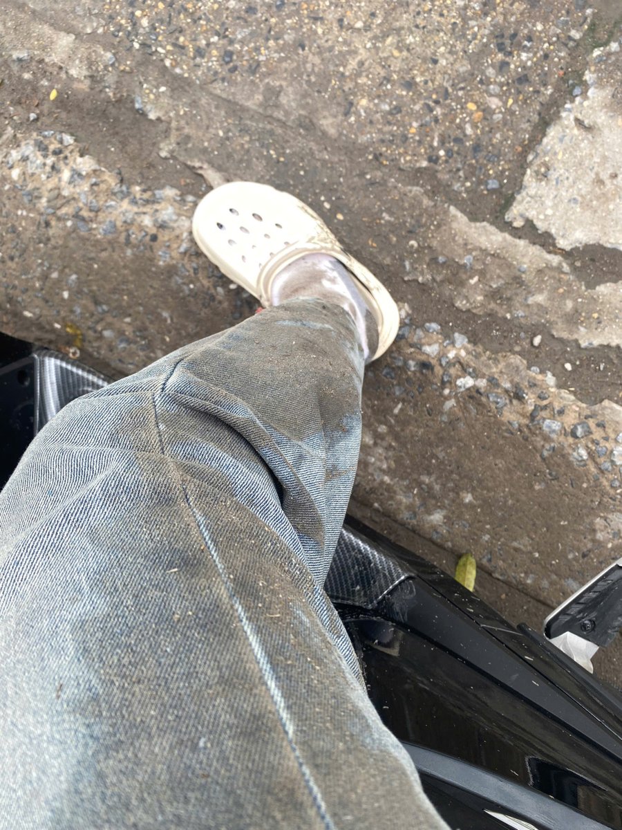 Nitdragon tweet media