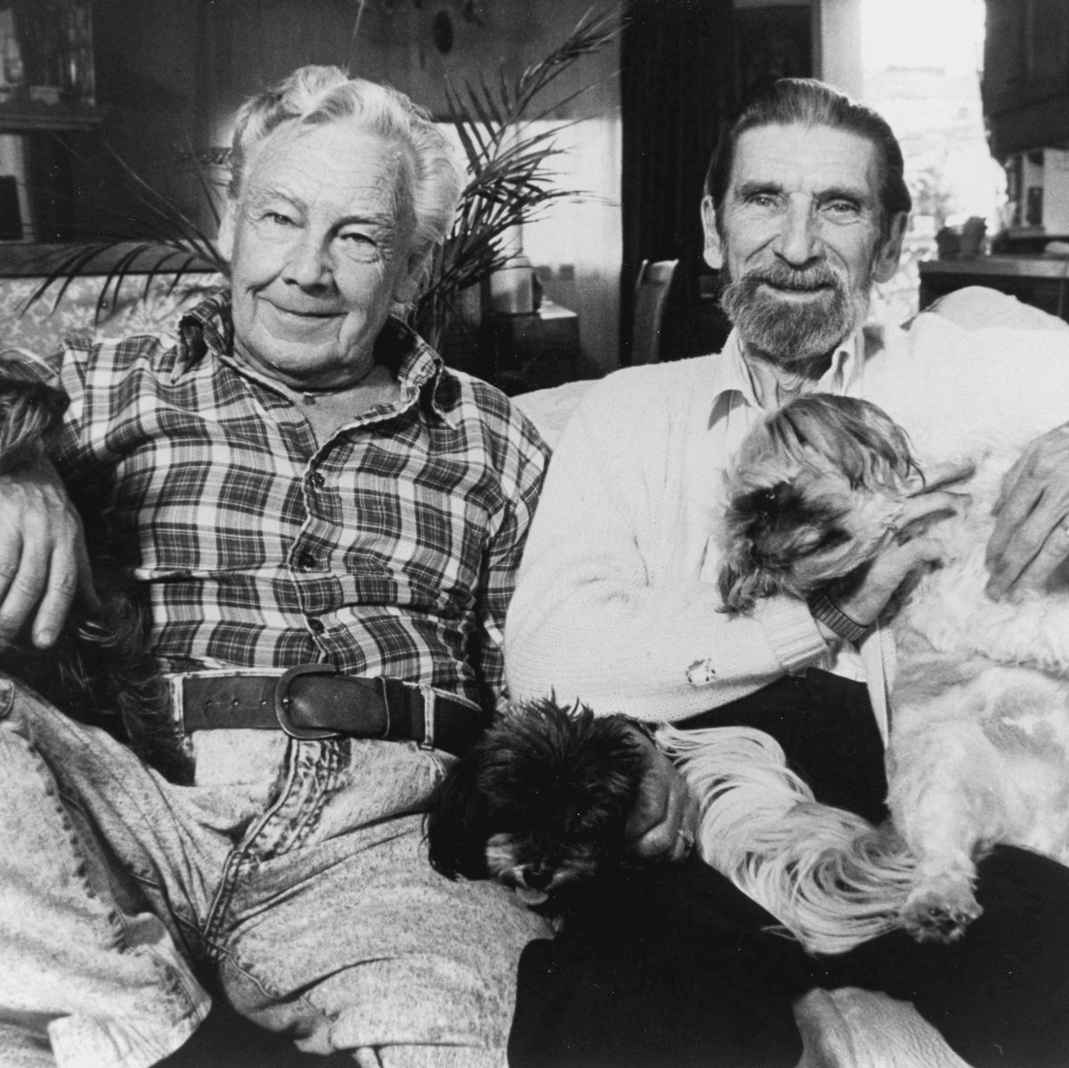 Craig Baird - Canadian History Ehx tweet media