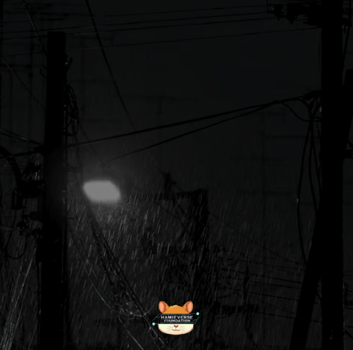 HamieverseFDN's tweet photo. DO YOU KNOW?
Power cuts at the children’s home in Jammu happen almost every day.
3–4 hours without electricity.
That means no lights. No fans. No stable study time.
For many of these children, evening is the only quiet time to focus.
#LightForStudy #HamieverseFoundation #Jammu
