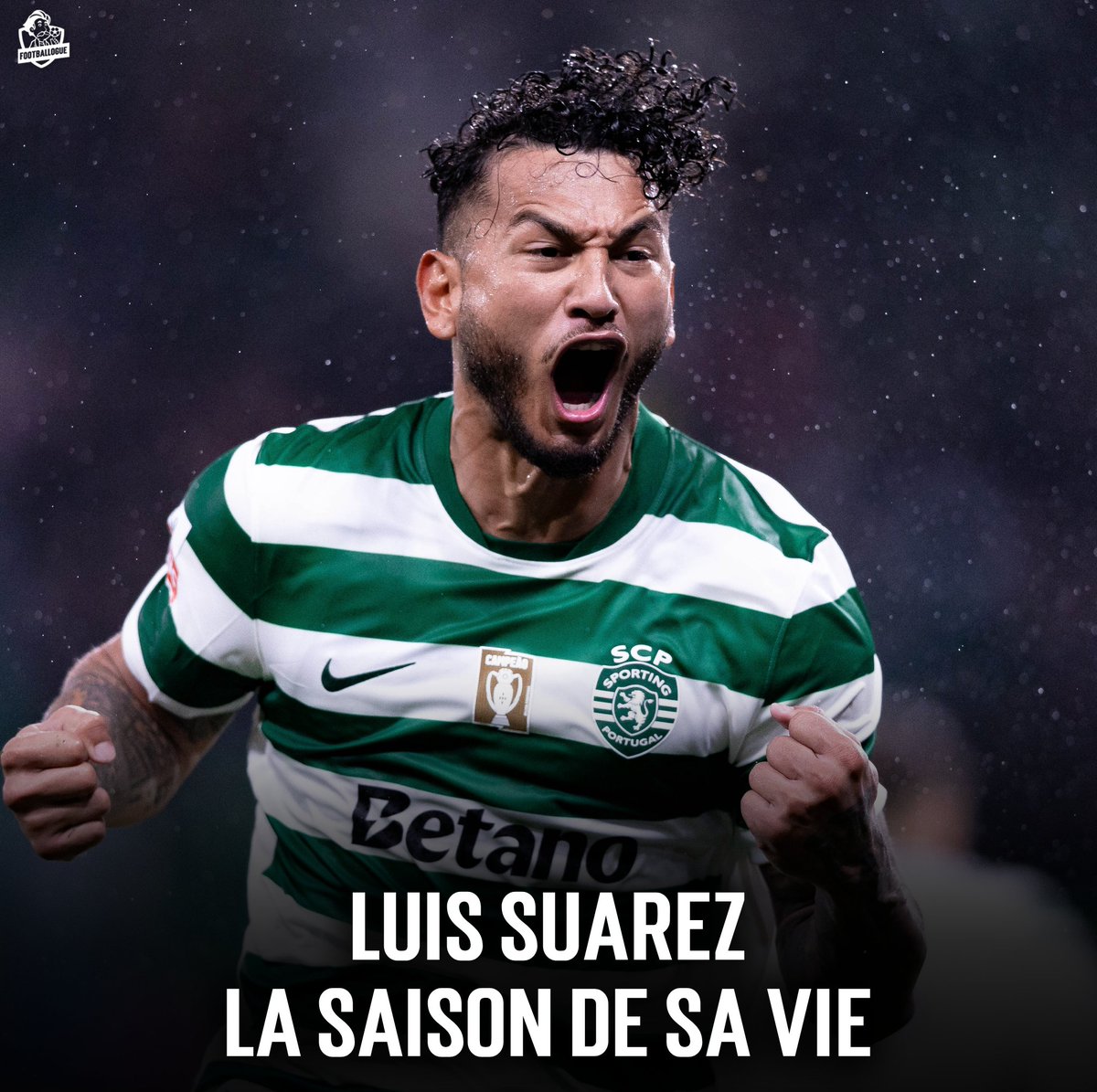Footballogue tweet media