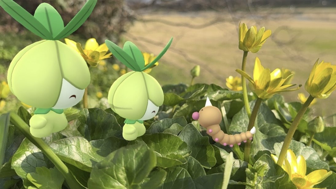 ブロ＊＊＊ tweet media