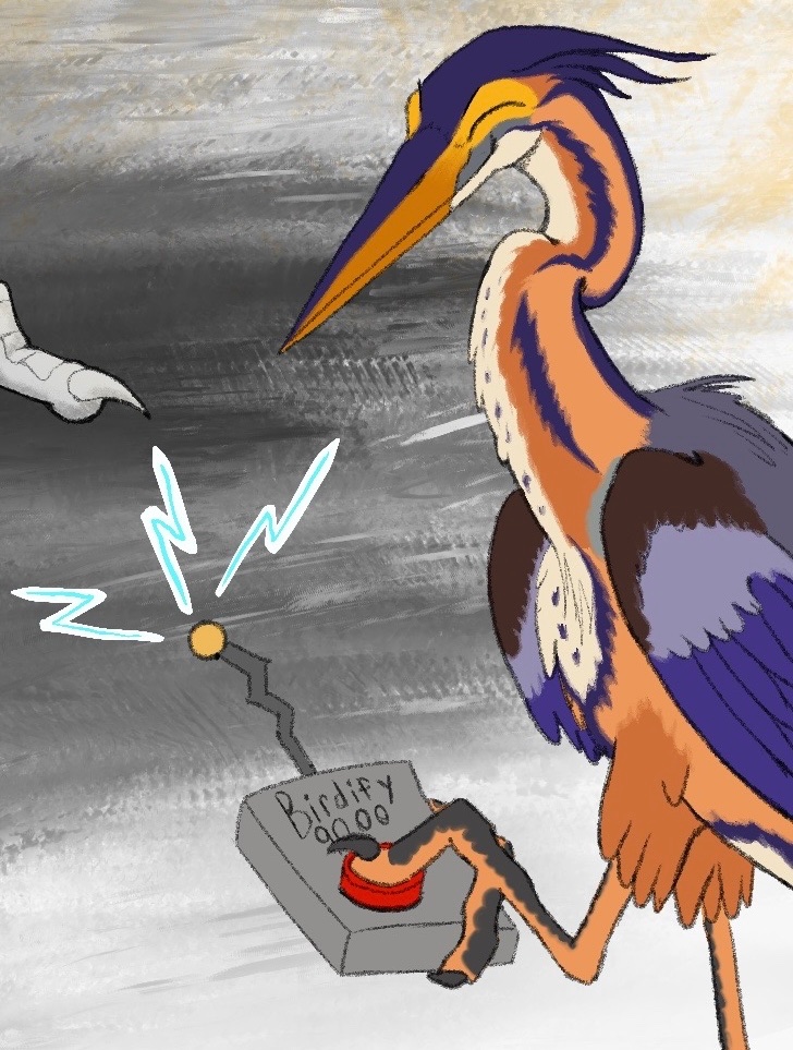 Ferrant Morteau tweet media