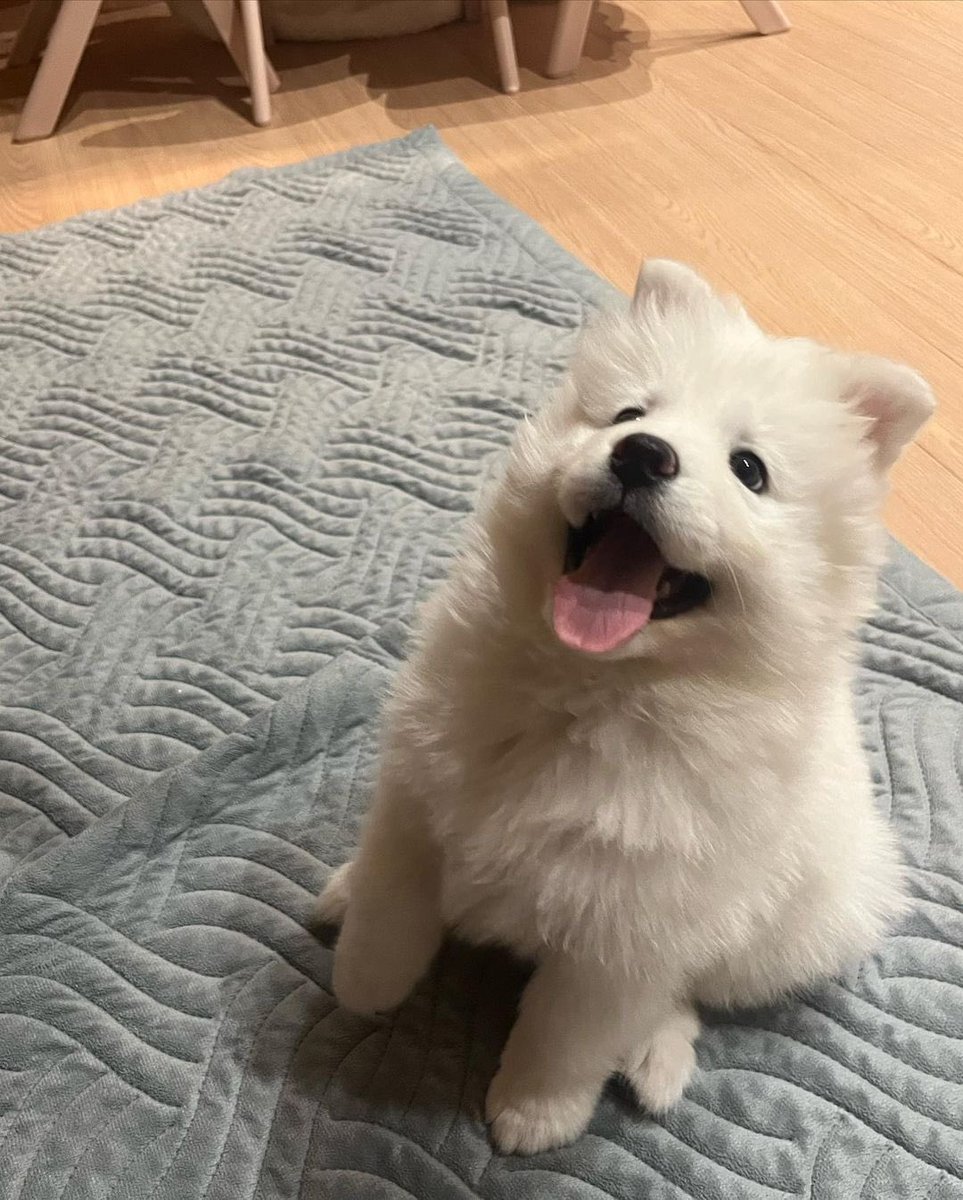 จั้นงอน!                                  หายเร้วเร้วน้าคับ