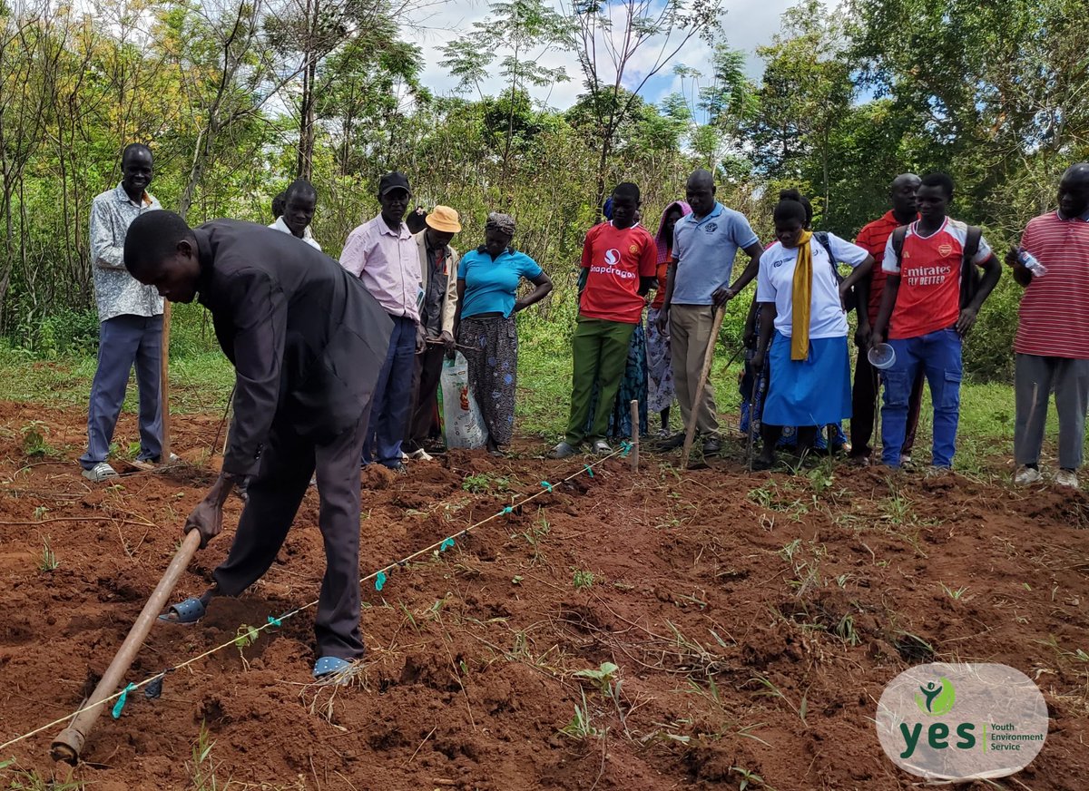 YesBusia tweet media