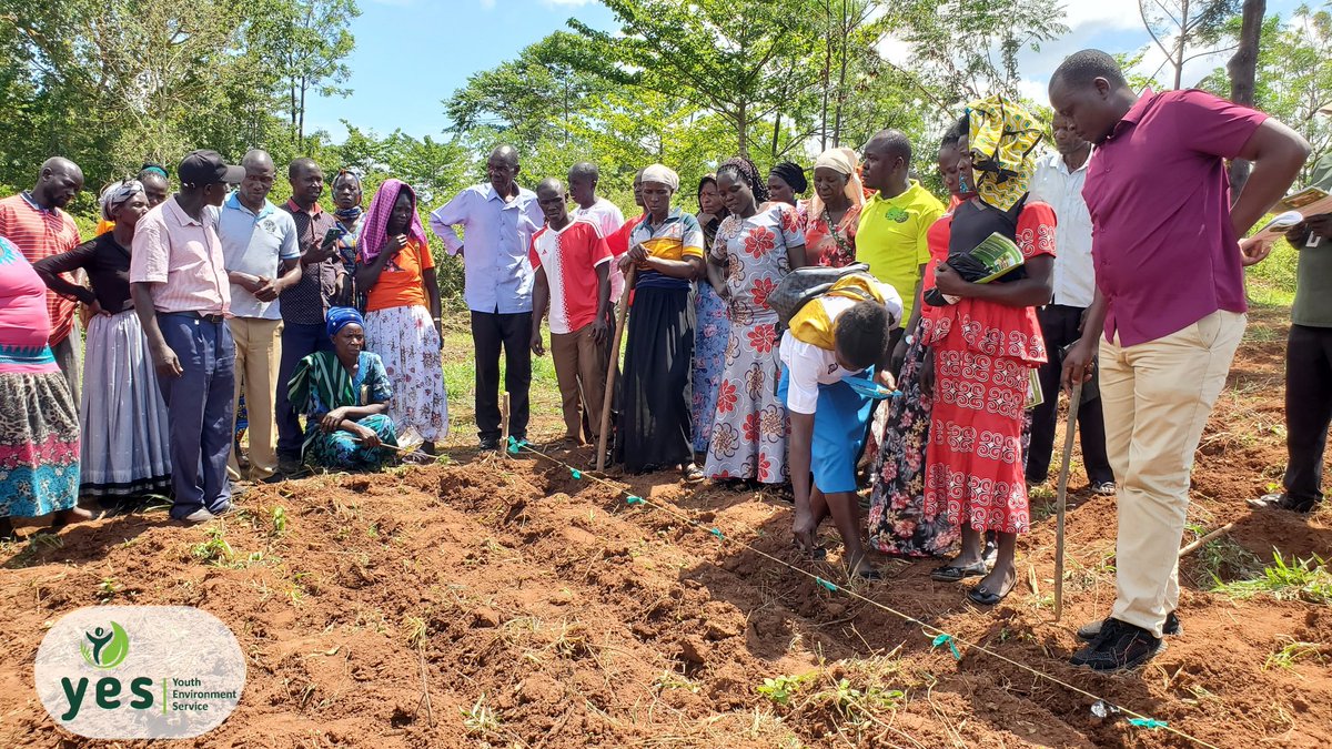 YesBusia tweet media