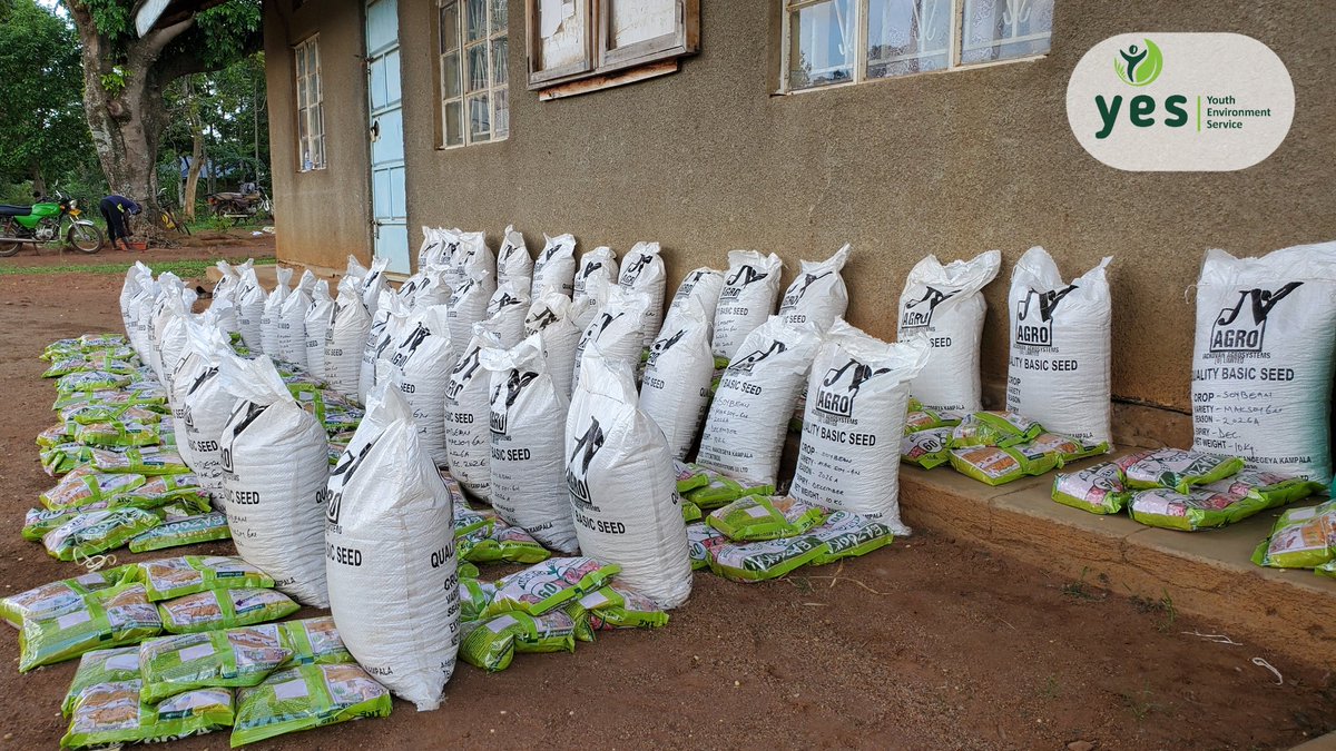 YesBusia tweet media