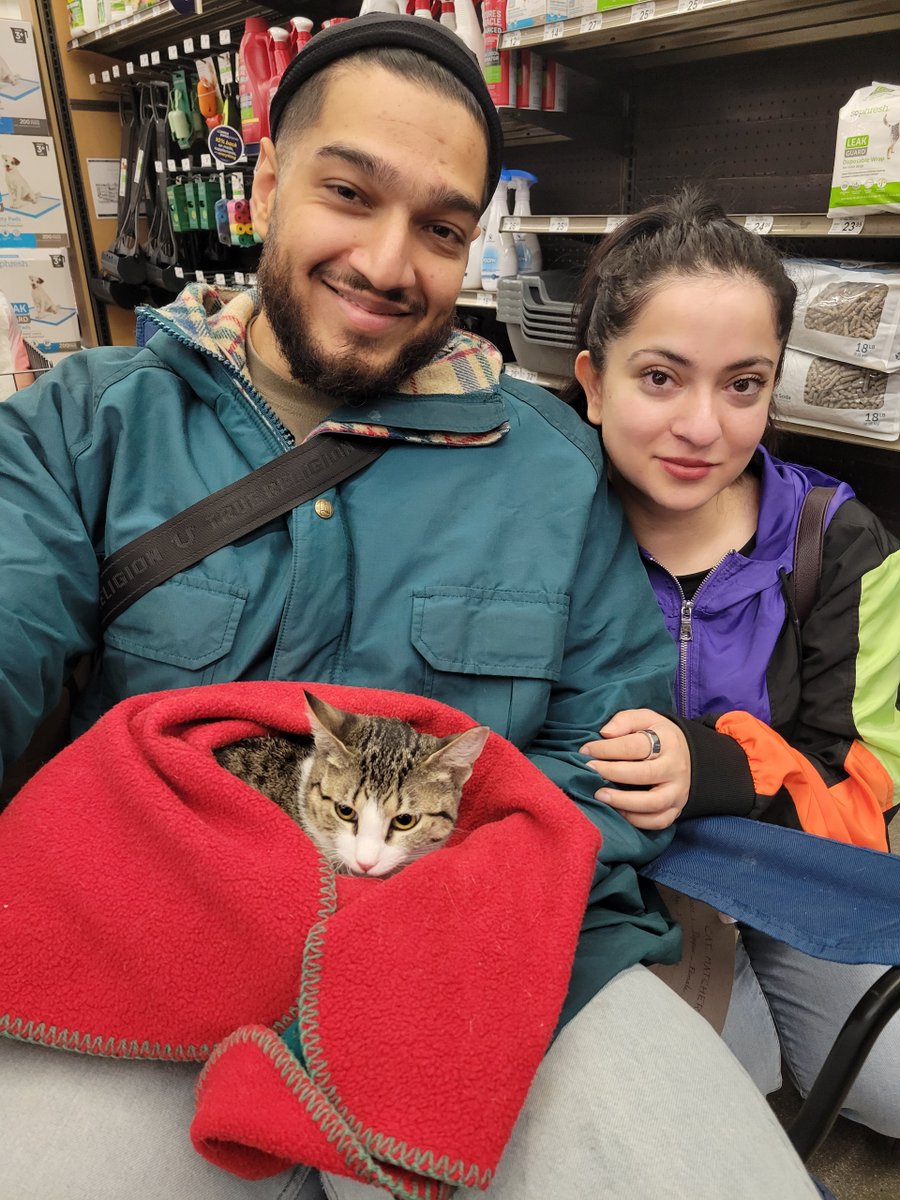 Cat Matchers tweet media