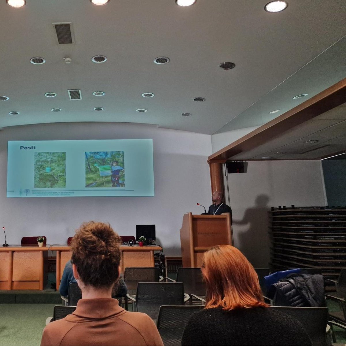 Trapview tweet media