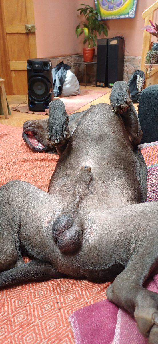 Dünya sana güzel Toprak.