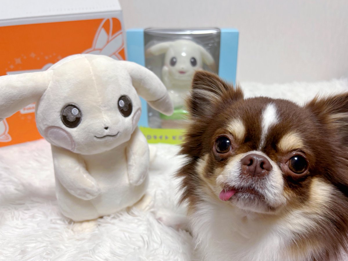 ポケセンオンラインから、うすいろピカチュウのLEDライトとぬいぐるみ