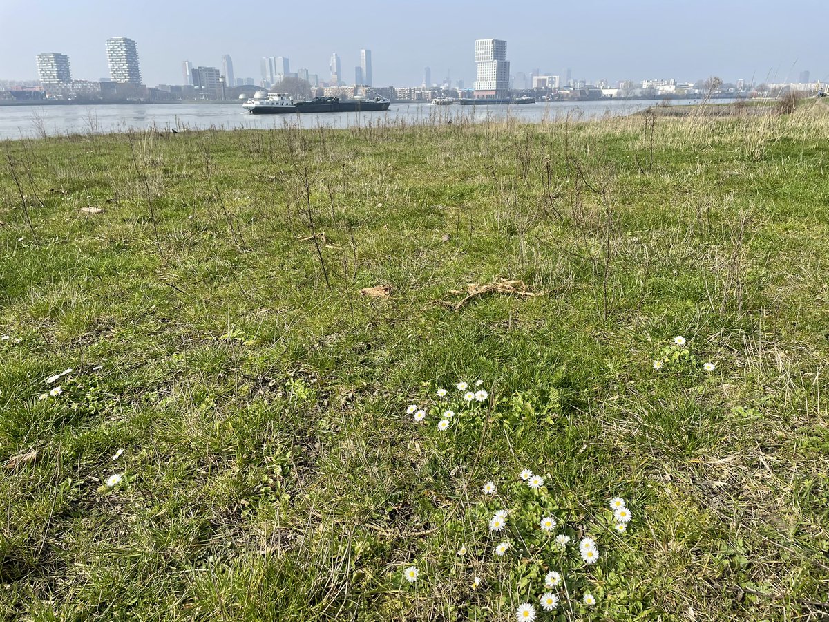 Marjolijn vd Assem tweet media