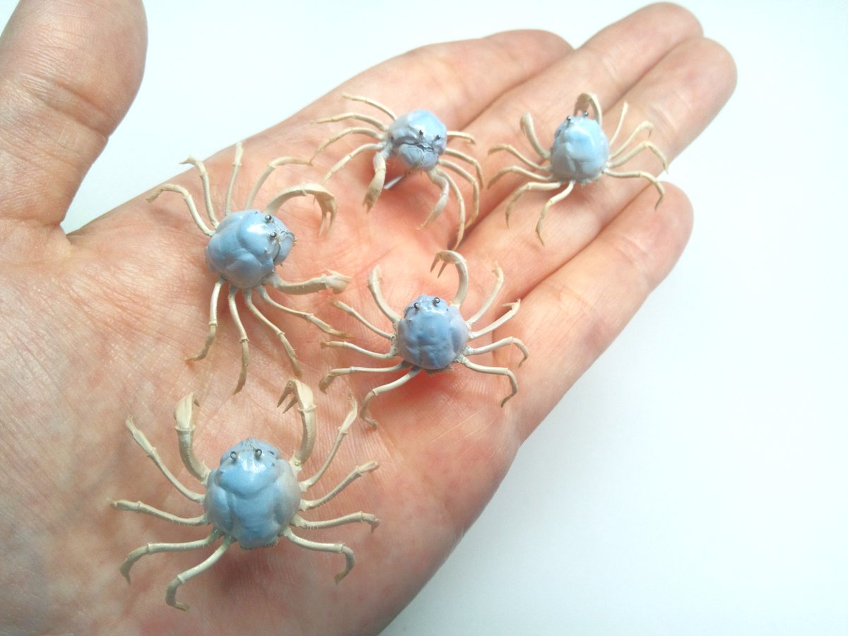 魚道部!/ 剥製師 力石眞弘 (チカライシ マサヒロ) tweet media