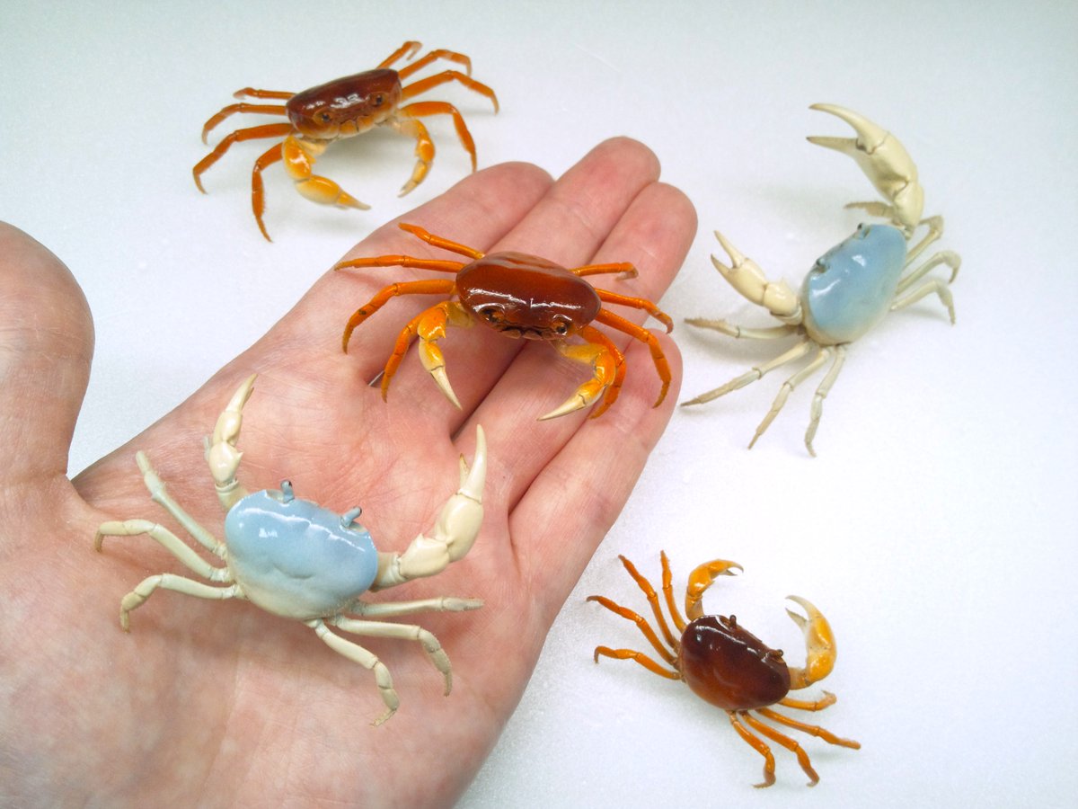 魚道部!/ 剥製師 力石眞弘 (チカライシ マサヒロ) tweet media