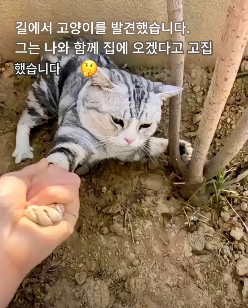 @약간 이런 무드임

ㅈㄴ 가기 싫어보이는데