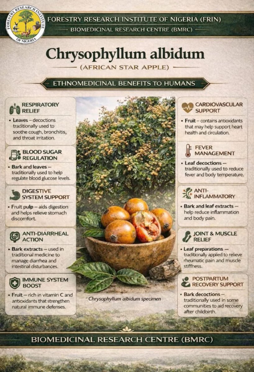 FRINMEDIA tweet media