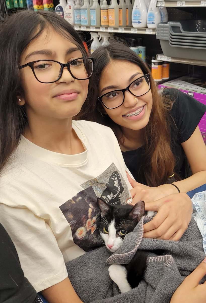 Cat Matchers tweet media