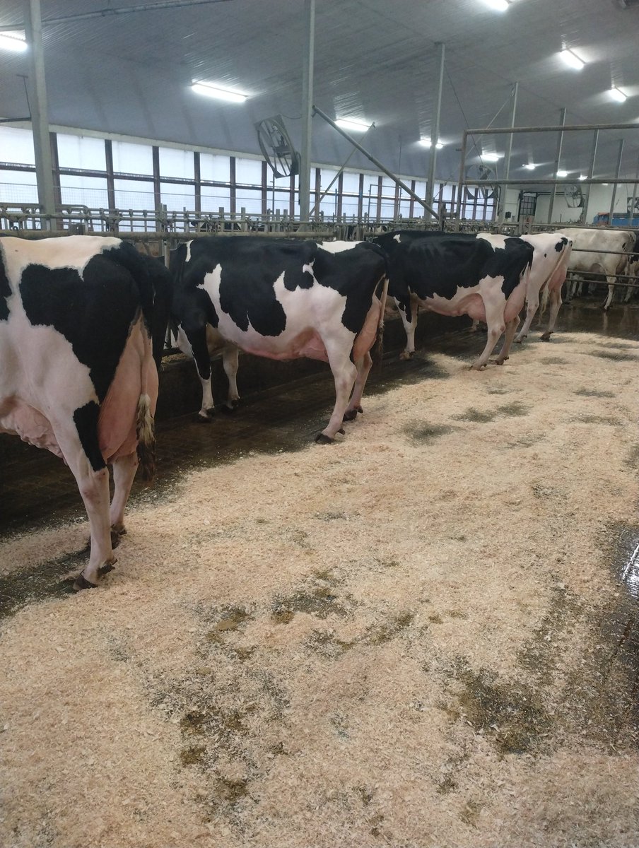 Doug Johnston tweet media