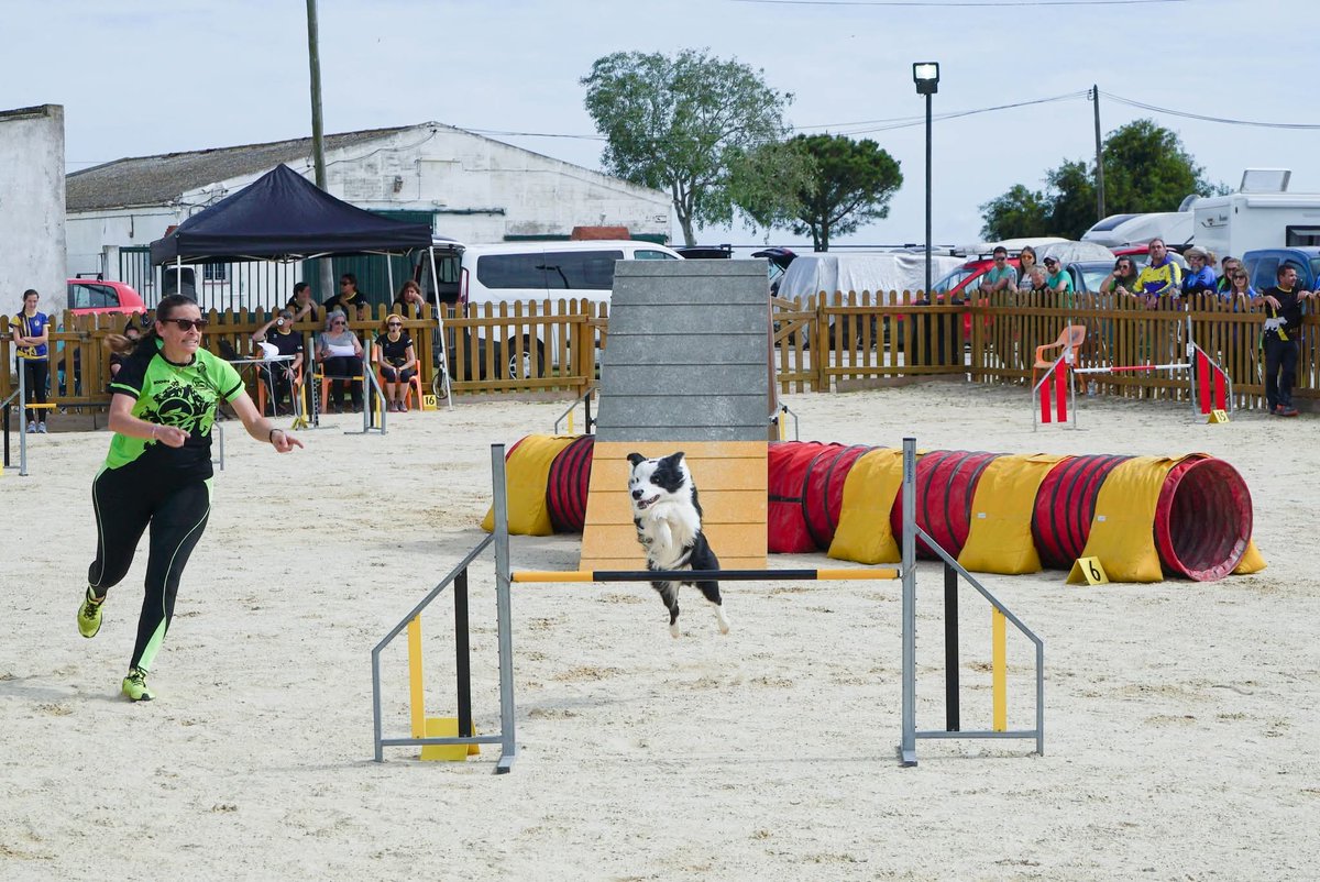 Parque Toruños tweet media