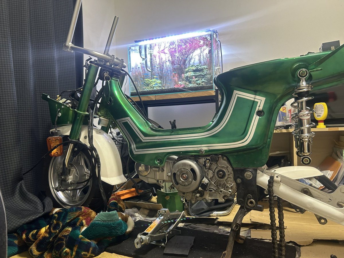 ｺｲｹｯﾁ tweet media