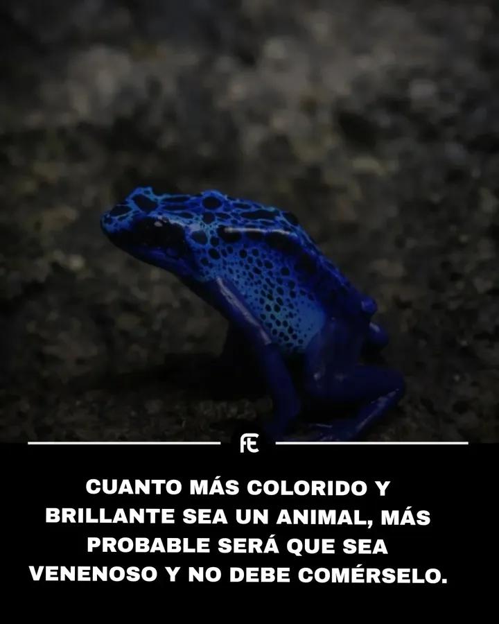 Adri®️ tweet media