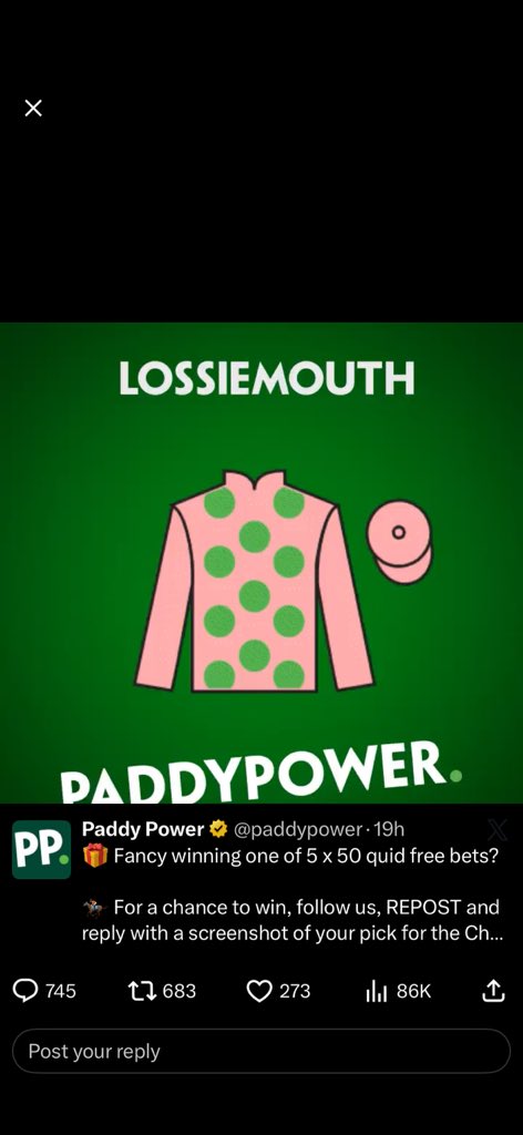 NickGibbs3's tweet photo. @paddypower https://t.co/6JcWJtthZ6
