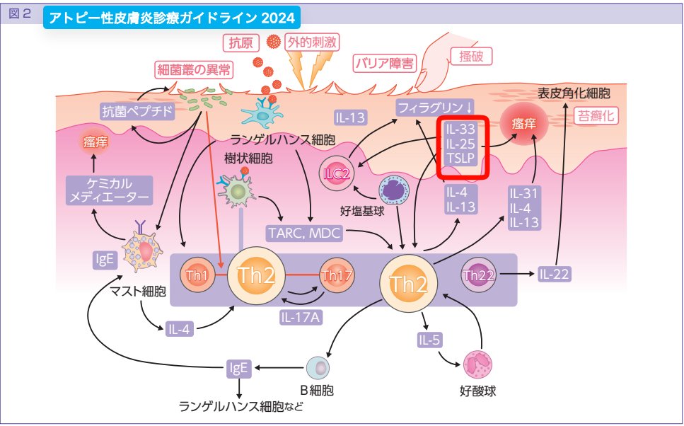 SoS@皮膚科専門医試験対策編 tweet media