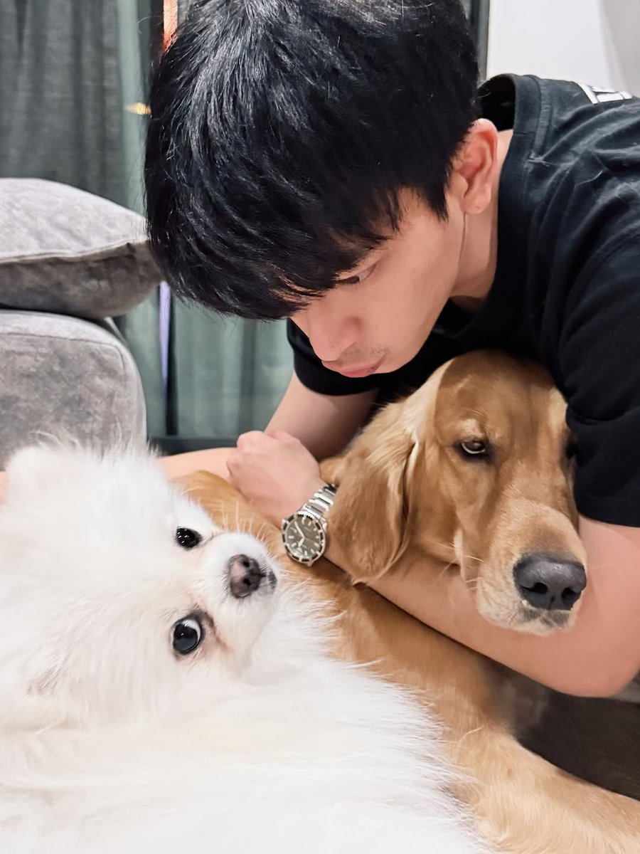 chichamon_id tweet media