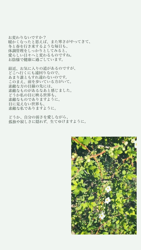 BKKB_01's tweet photo. なるべく
小さいものを愛しながら
生きていきましょうね
 #shiorigram https://t.co/qYMCeSJuWm