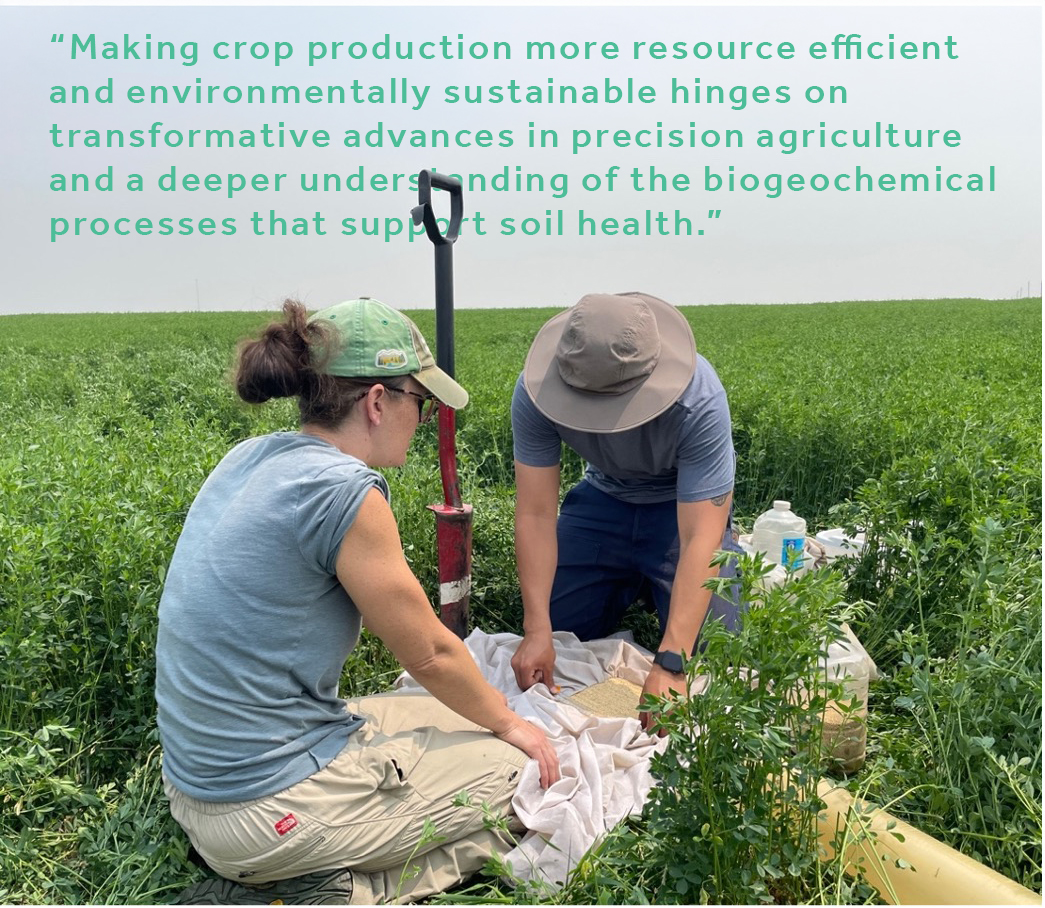 Foundation for Food & Agriculture Research (FFAR) tweet media