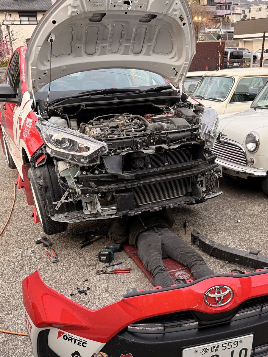 佐藤愛美🐿Ami Sato tweet media