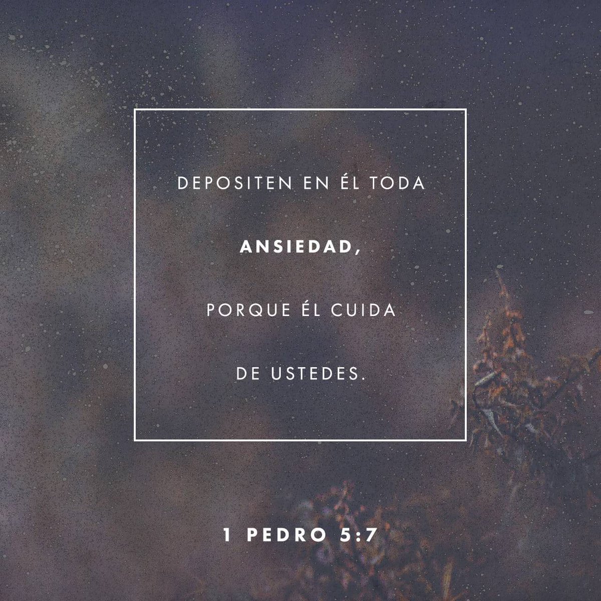 Cuando la ansiedad por las preocupaciones que conllevan vivir en una sociedad más ajetreada por el materialismo,  el único refugio es depositarla en manos de aquel que solo nos da calma y paz., Cristo Jesús .