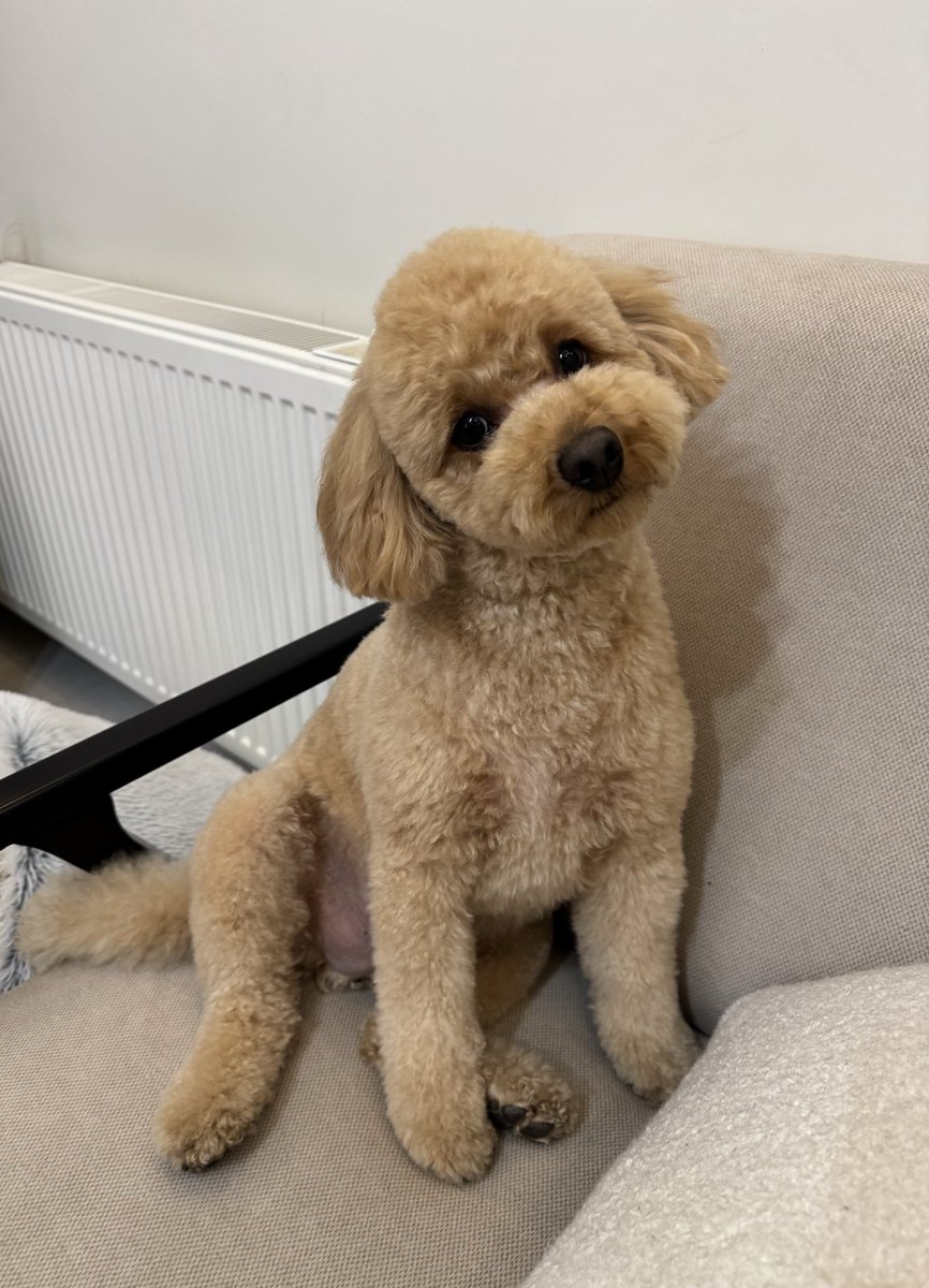 Teddy 🧸 tweet media