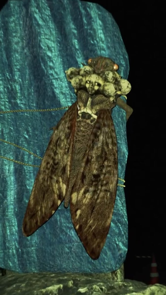 神影録/ShineiRoku tweet media