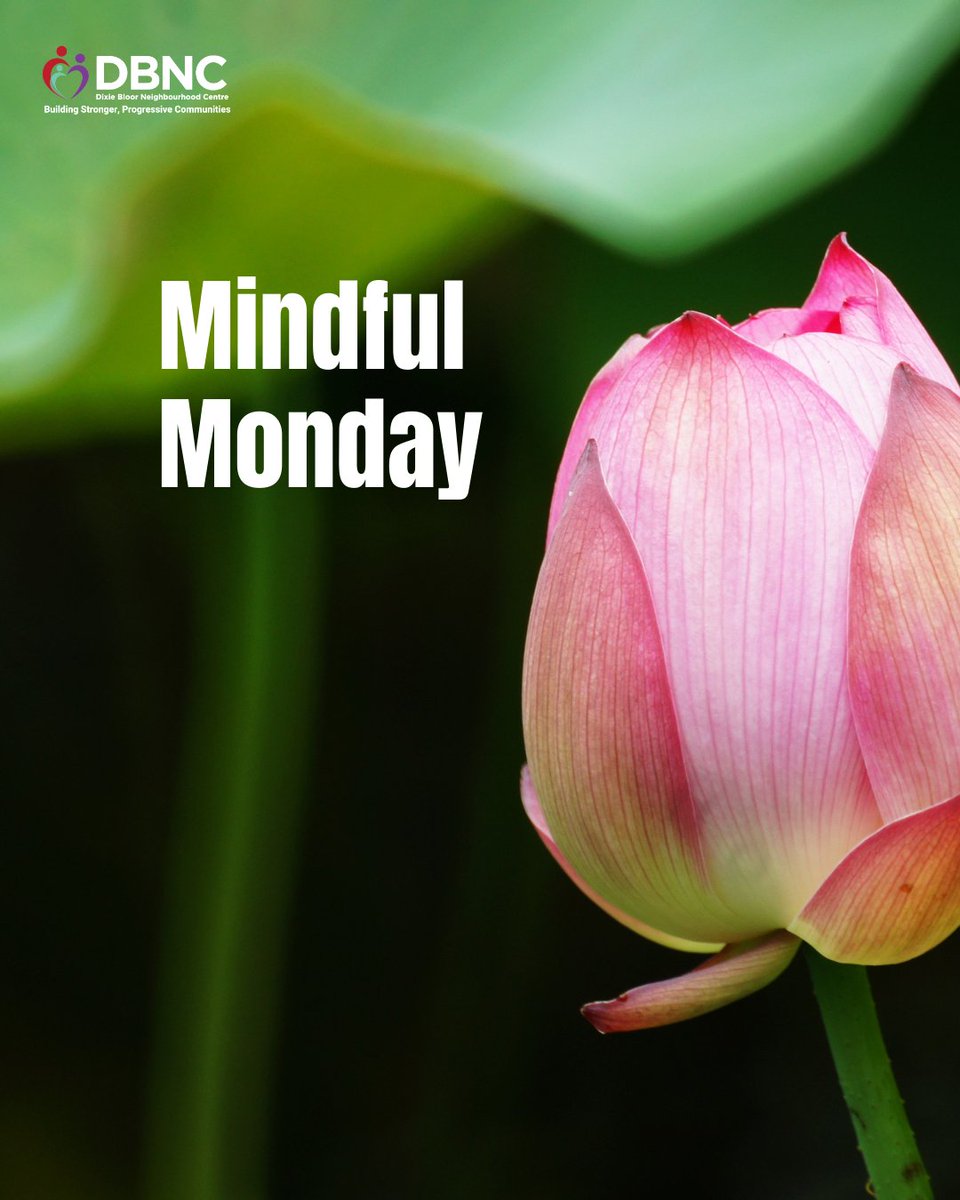 Dixie Bloor Neighbourhood Centre (DBNC) tweet media