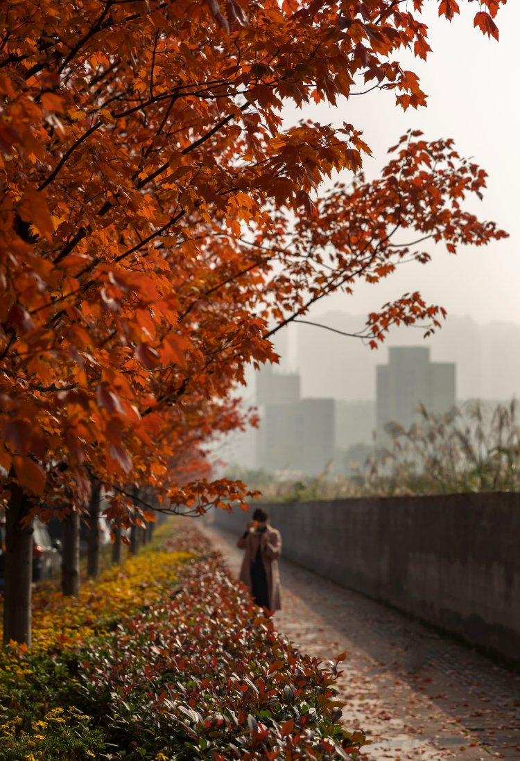 CycIaeFan tweet media