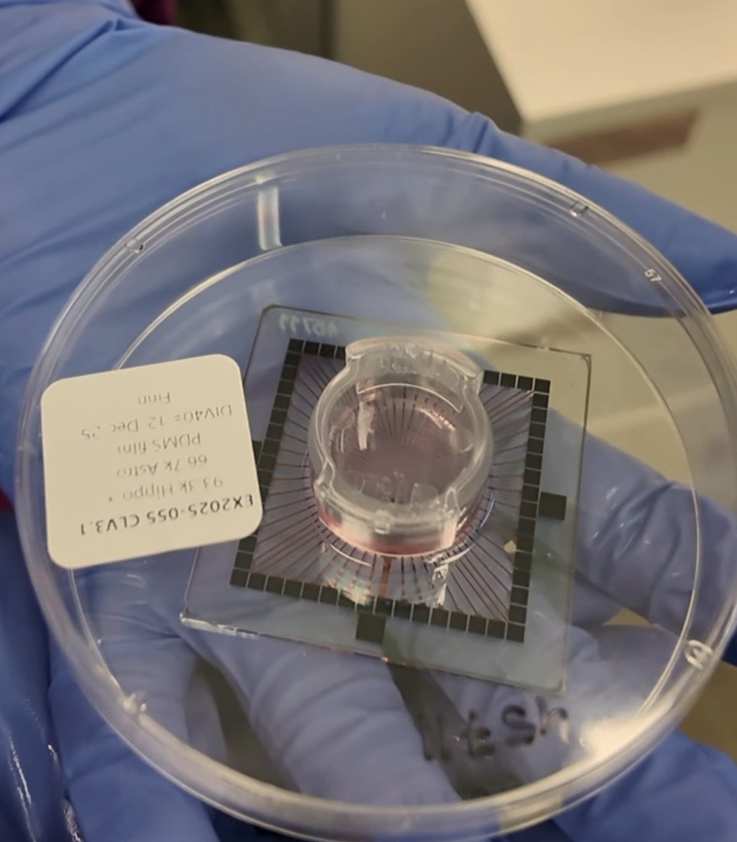 alvicate tweet media