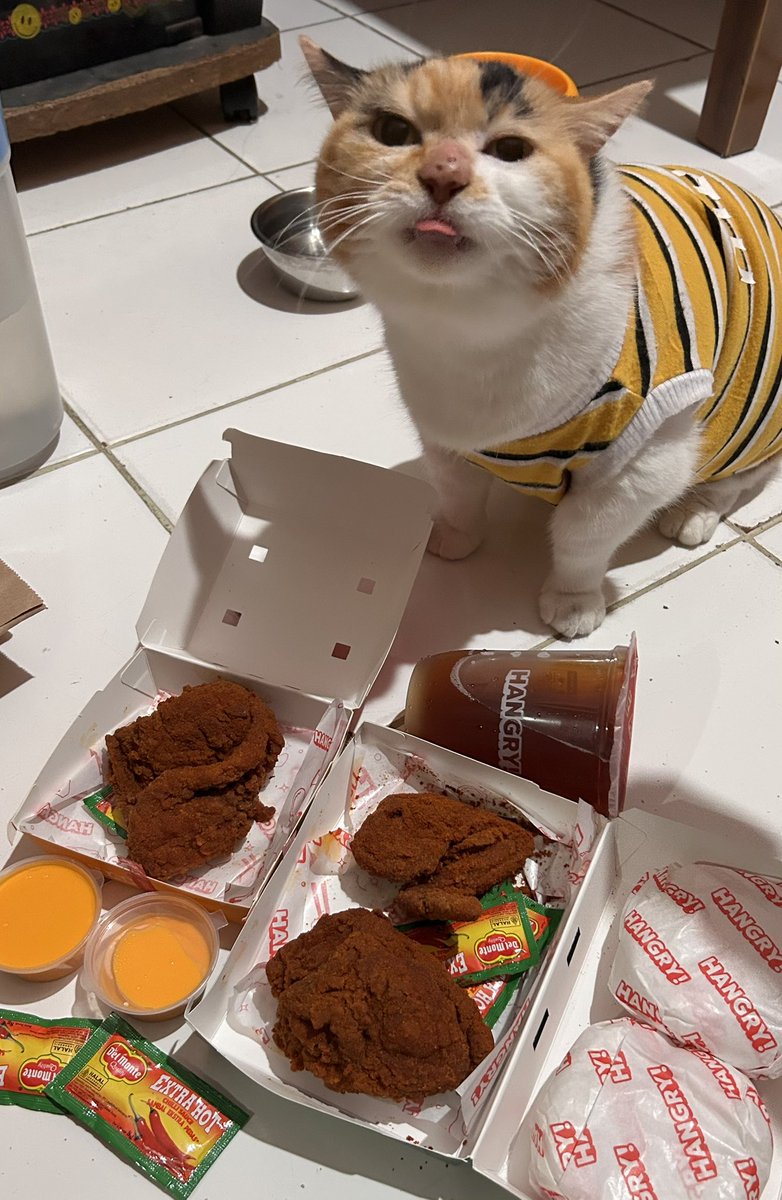 Jaklingko Cat | 📌 Open Pet Commission tweet media