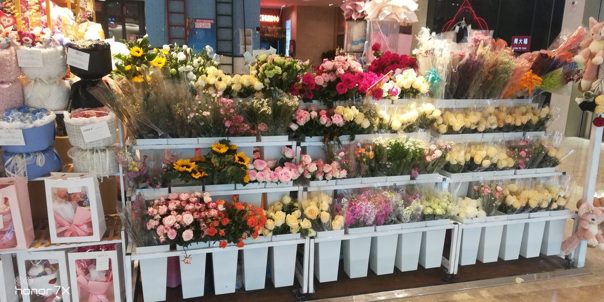 Владимир tweet media