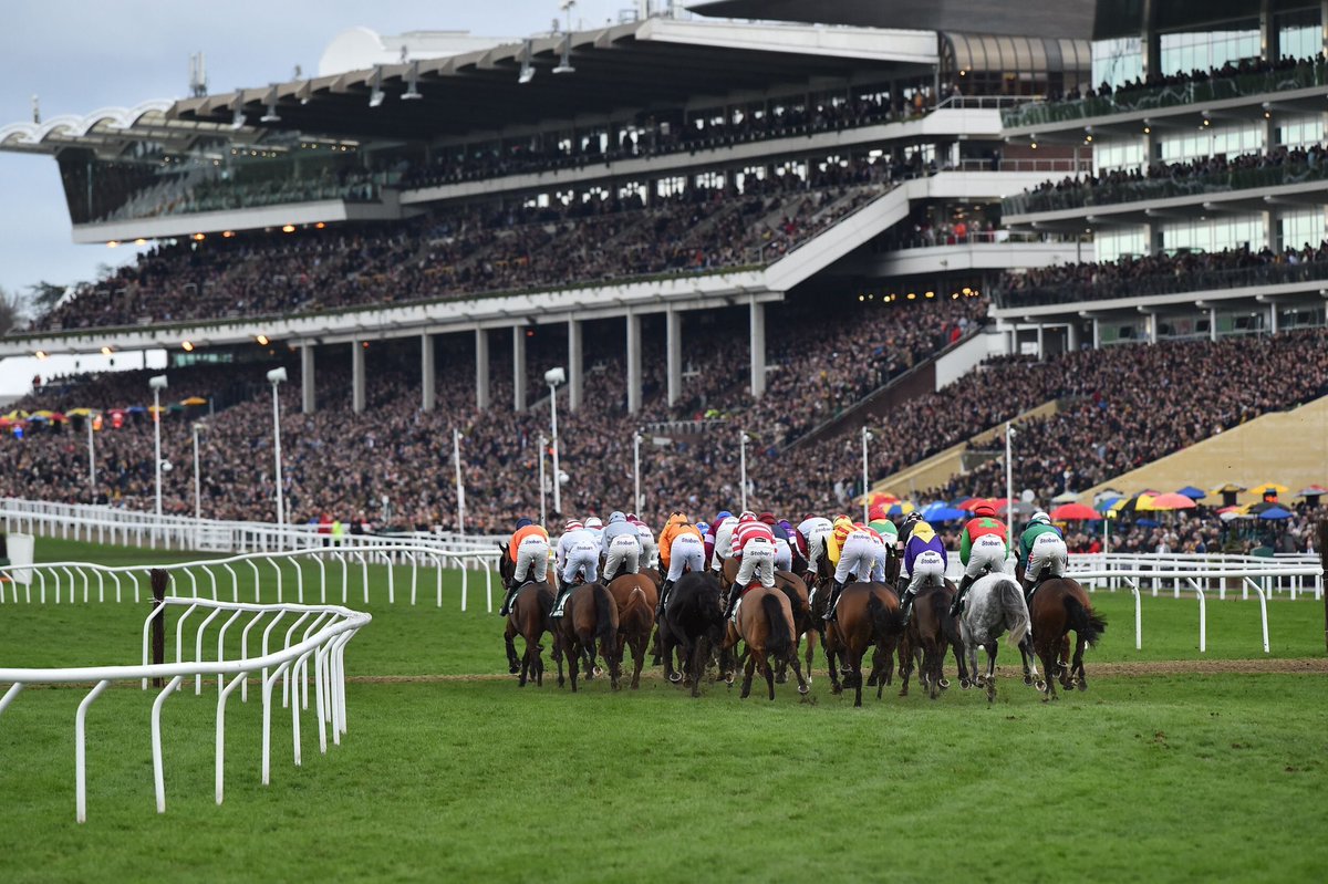 Bad Man’s Football Tips ⚽️ tweet media