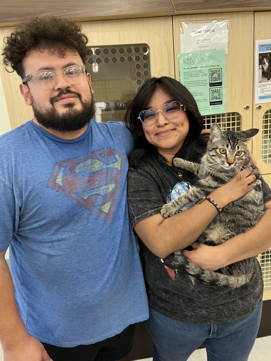 Cat Matchers tweet media