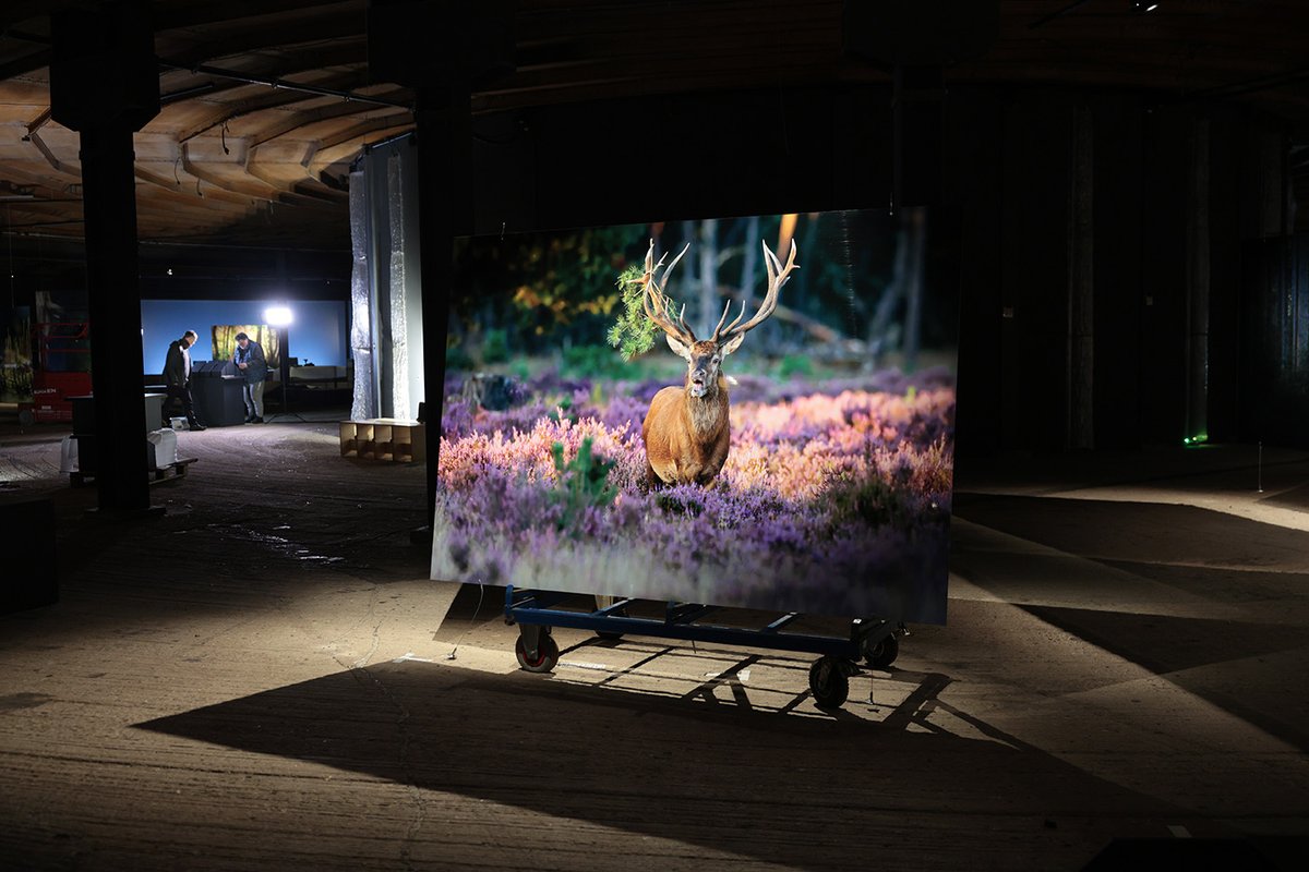 Gasometer Oberhausen tweet media