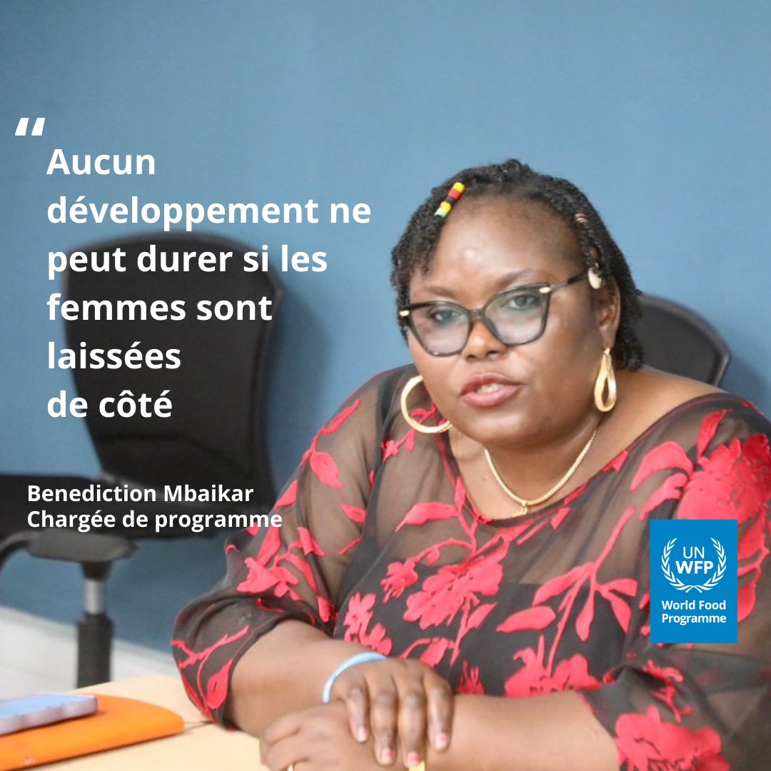 WFP_Chad tweet media